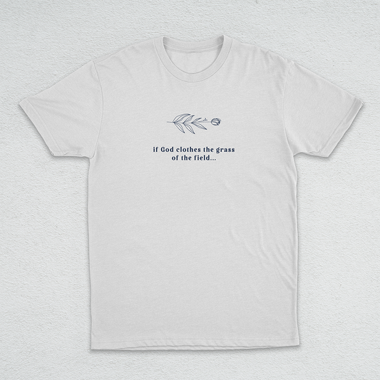 Will He not clothe you?